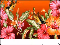 Tropical, 60x40 cm