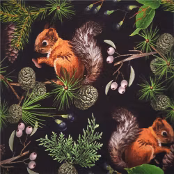 Inspiration ekorrar svart