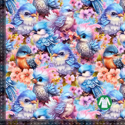 Jersey Kolibri