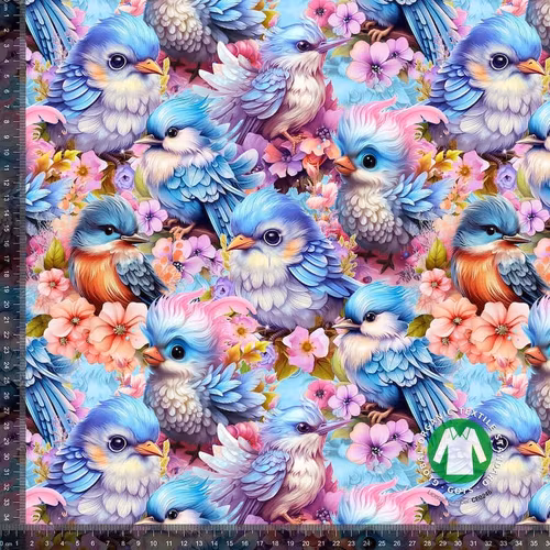 Jersey Kolibri