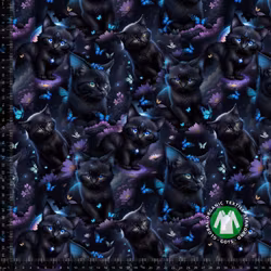 Jersey Dark Cat