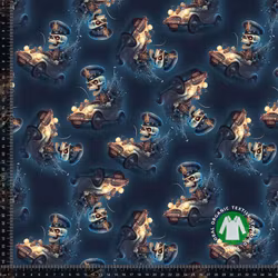 Inspiration Racing Skeleton