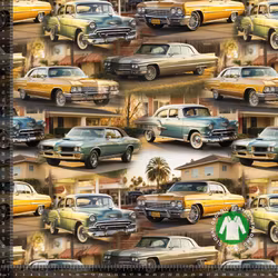 Inspiration Amerikanare