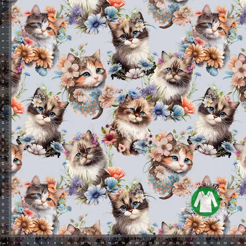 Jersey Sweet Cats
