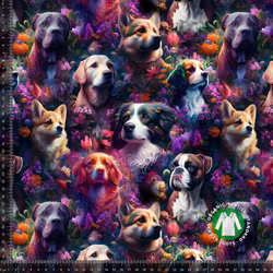 Inspiration Vackra Hundar