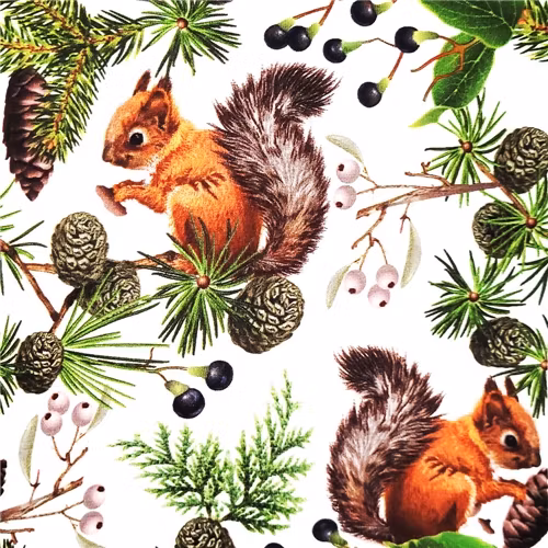 Set Baby, Ekorrar vitt + grönt