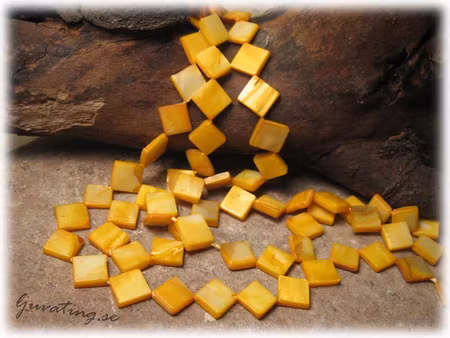 Gul snäckskal diagonalborrad fyrkant ca 10x10 mm