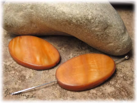 Stor brun oval  snäckskal ca 30x20 mm