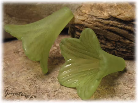 Frostad grön stor trumpetblomma ca 23x22 mm