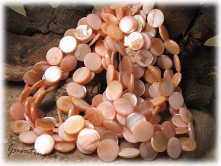 Ljus rosa snäckskal coins ca 14 mm