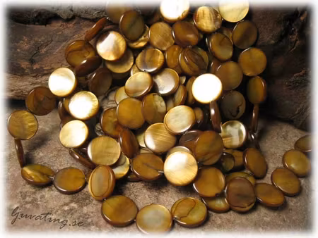 Gyllenbruna snäckskal coins ca 14 mm