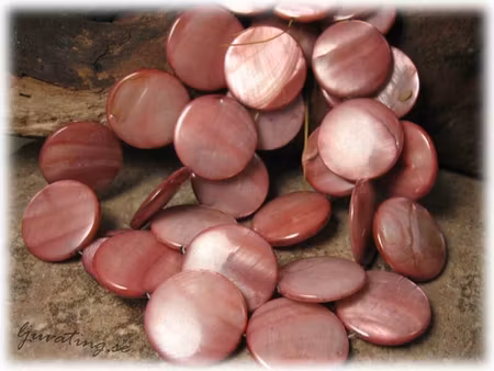 Gammelrosa stora snäckskal coins ca 25 mm