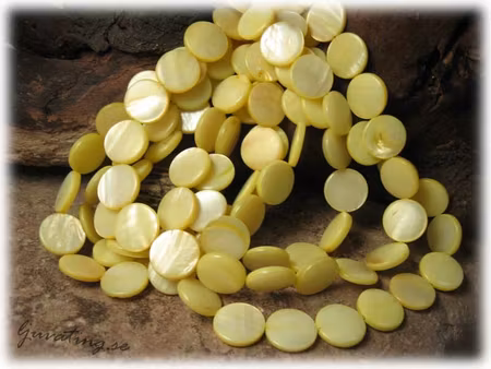 Ljus gula snäckskal coins ca 14 mm