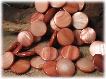 Nougatrosa stora snäckskal coins ca 25 mm