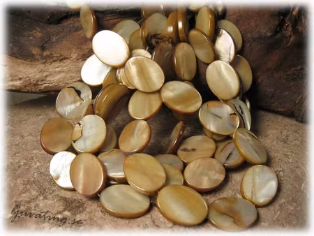 Gyllenbruna ovala snäckskal ca 20x15 mm