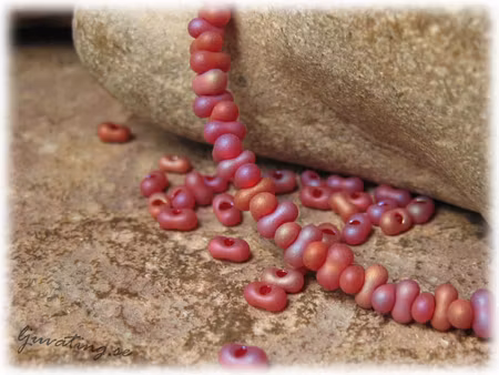 Röd matt farfalle pärla ca 4x2 mm