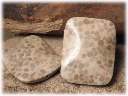 Jaspis fläckig rektangel sten ca 50x40 mm