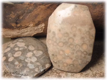 Jaspis fläckig stor oval sten ca 58x45 mm