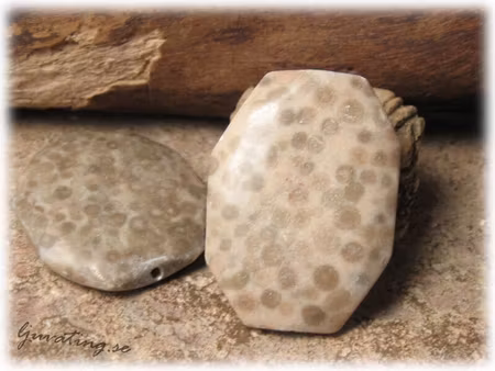 Jaspis fläckig stor flat oval sten ca 42x32 mm