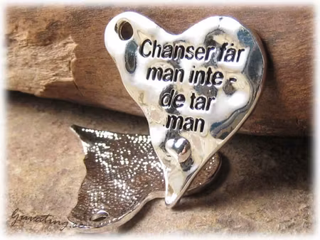 Storpack 20 st budskap Chanser får man inte - de tar man