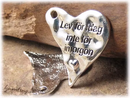 Hjärta med budskap Lev för idag inte för imorgon