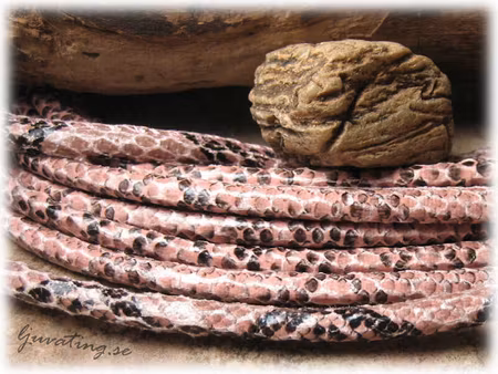 Rosa orm läderimitation med söm tjocklek ca 5mm