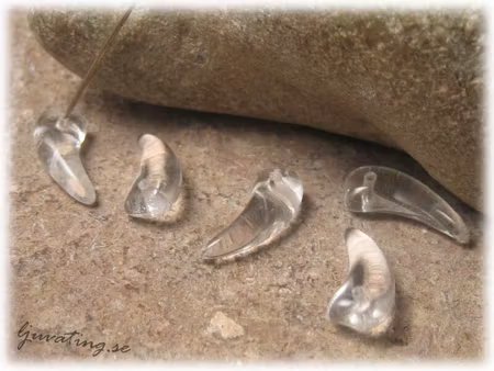 Clear crystal klo/tand i glas 5-pack ca 15x6 mm