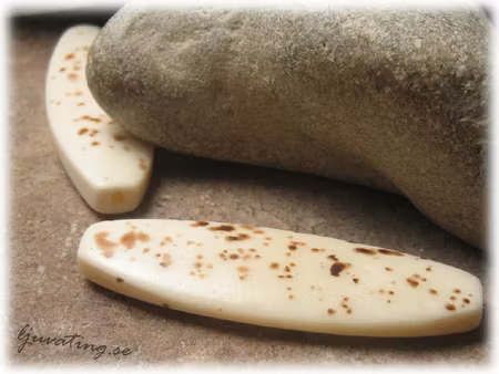 Smyckesten flat oval ljus med prickar ca 50x17 mm