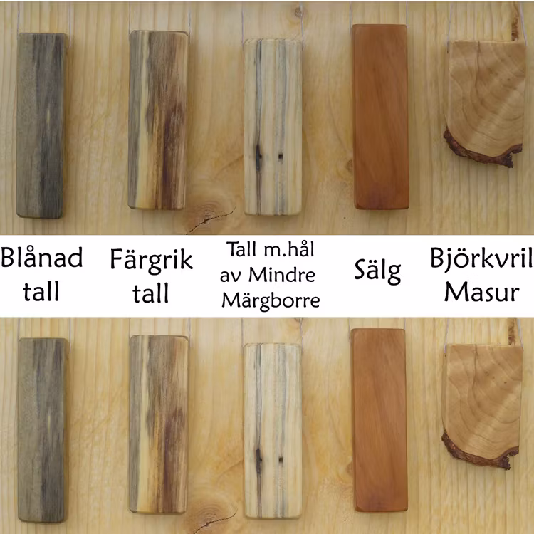 Sländor som finns i lager, basmodell!