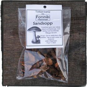 Torkad svamp- Sandsopp