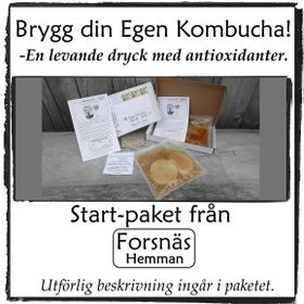 Extrastort Kombucha Start-pack. Gör din egen kombucha!
