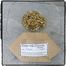 Frö till Fjällkvanne