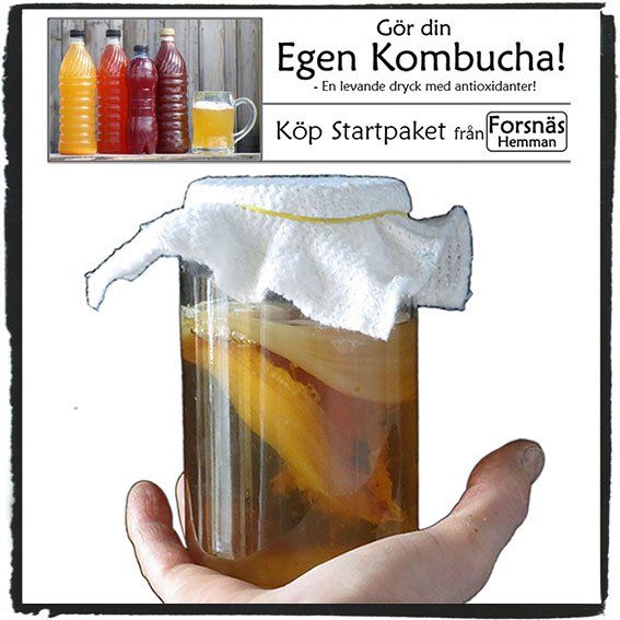 Tappat bort Kombucha beskrivningen? Ny här!