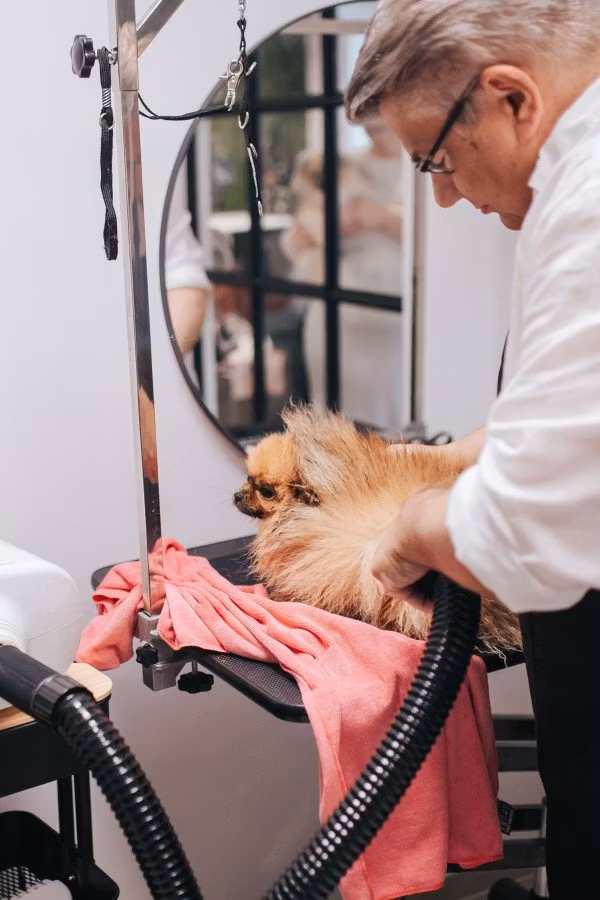 ALWAYS PROFESSIONAL GROOMING