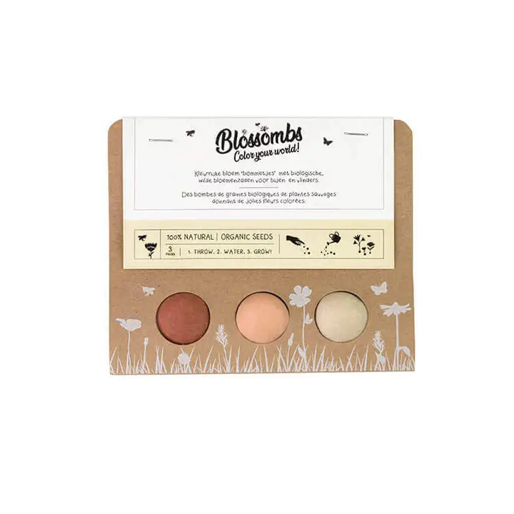Liten present – 3 fröbomber med vilda blommor