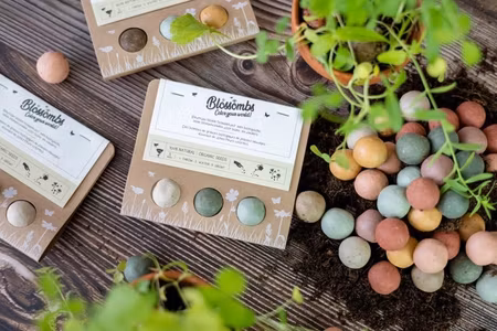 Liten present – 3 fröbomber med vilda blommor