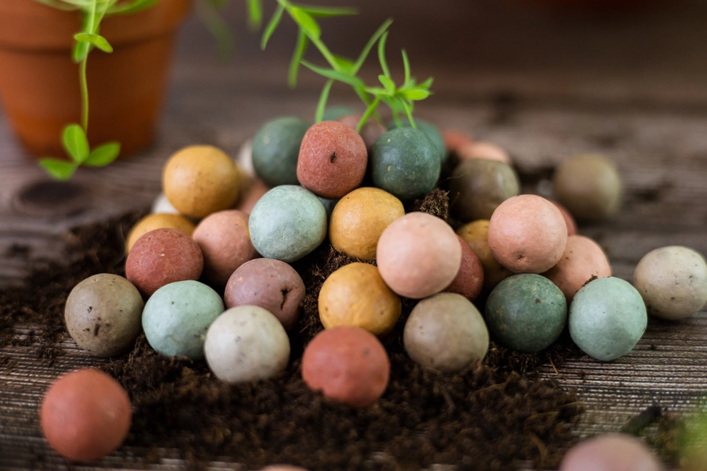 Odlingskit “Med kärlek” – Fjärilsparadis