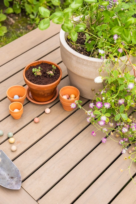 Odlingskit “Thinking of You” – Förgätmigej