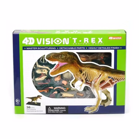 Dinosaurie T-Rex anatomi 36 delar - Animal anatomy dinosaur