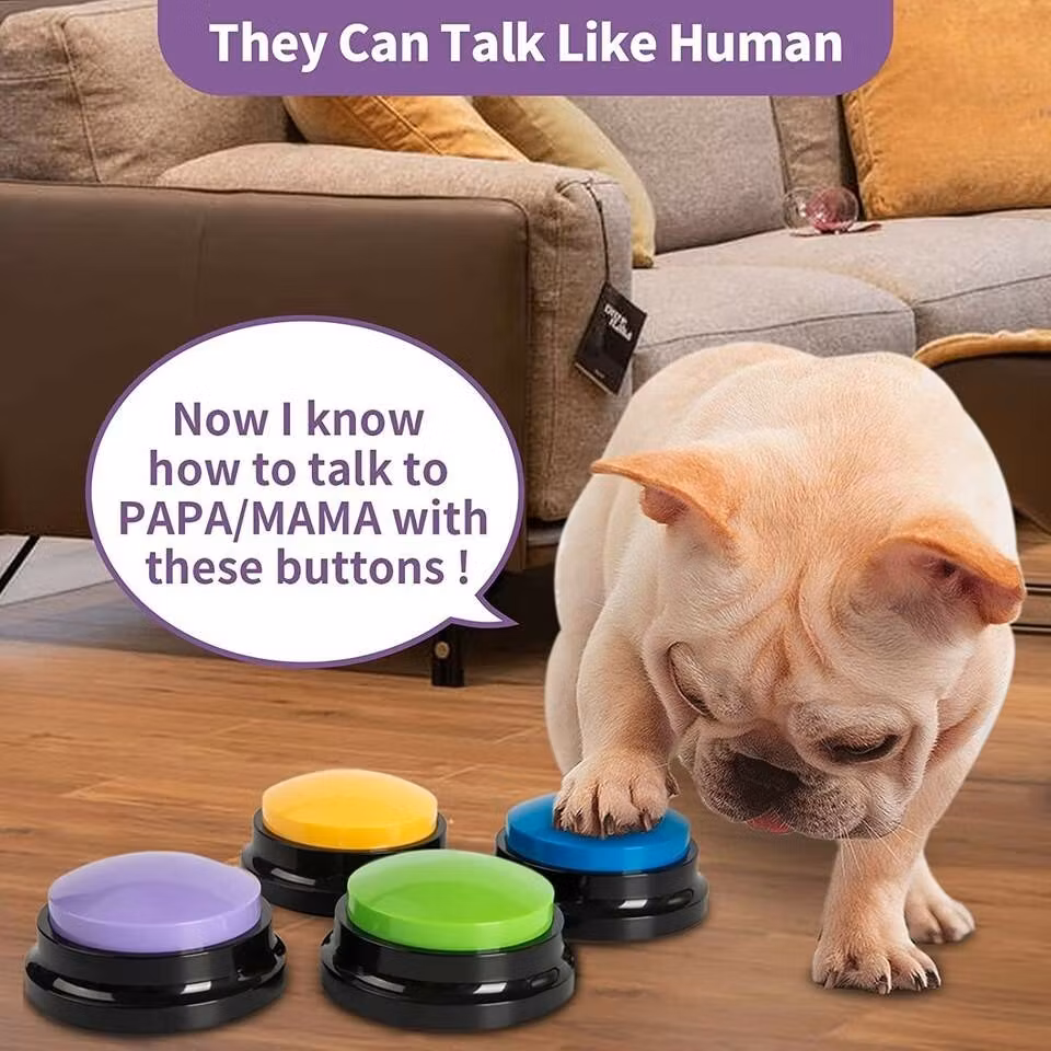 Talande knappar för din hund
