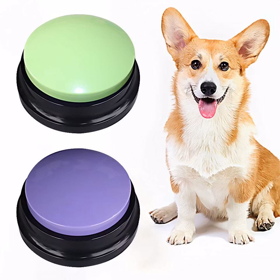 Talande knappar för din hund