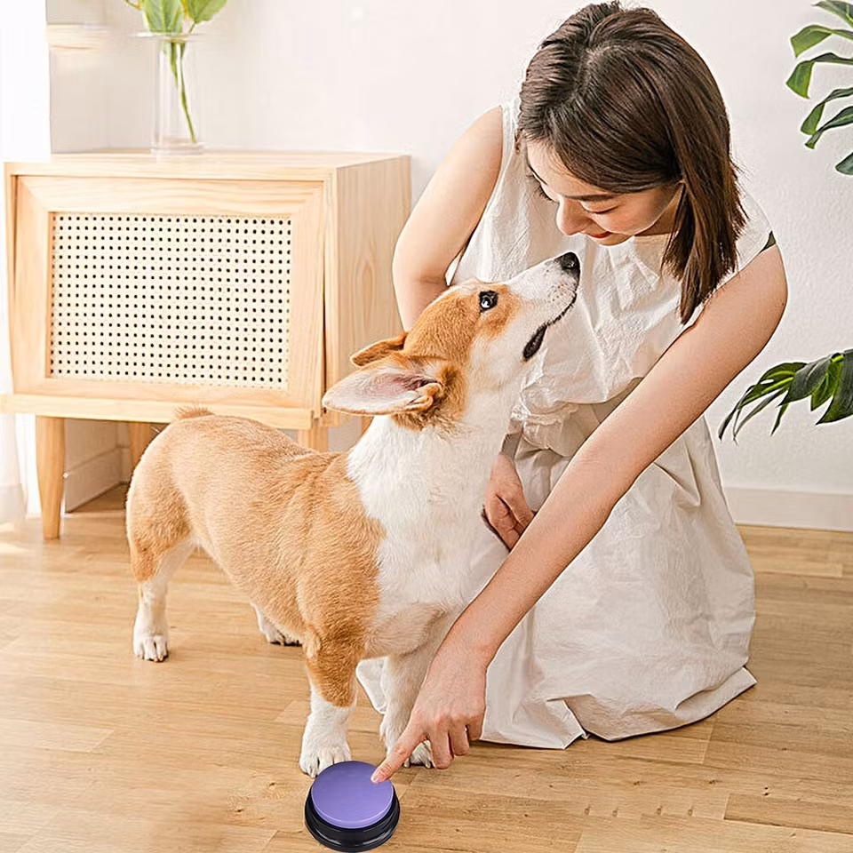Talande knappar för din hund