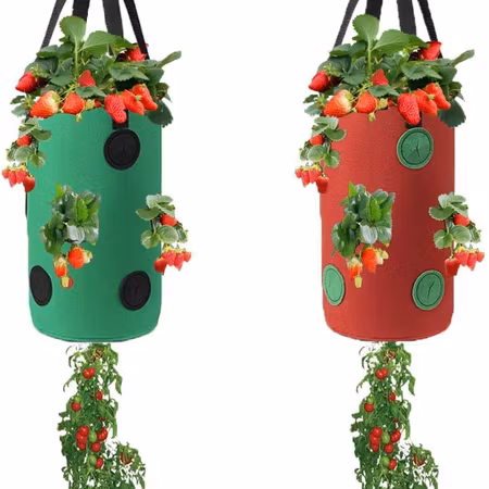 Hängande Tygkruka för jordgubbar