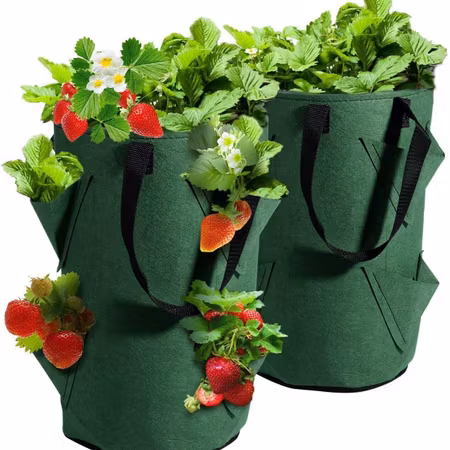 Tygkruka för jordgubbar - Grönsaker