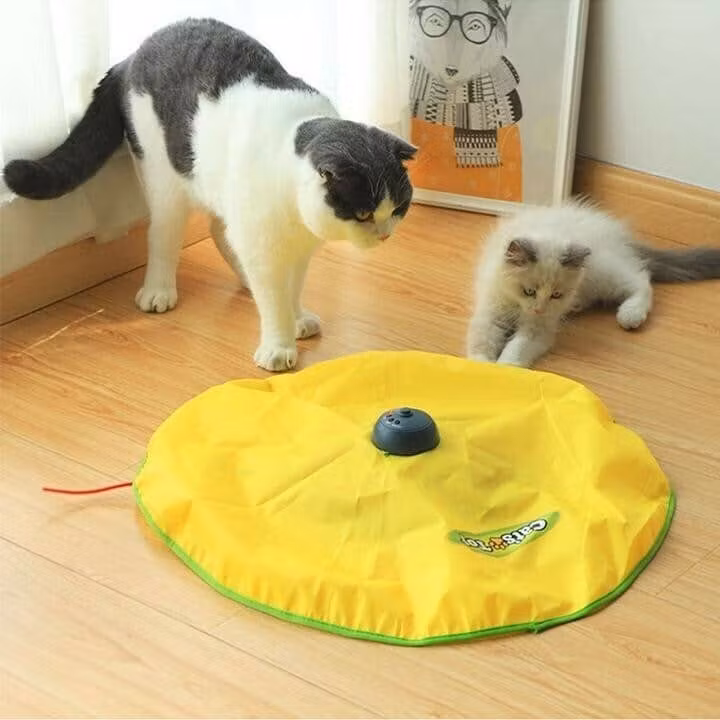 Kattleksak Cat’n Mouse