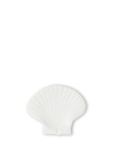 6 st. Assiett Shell S