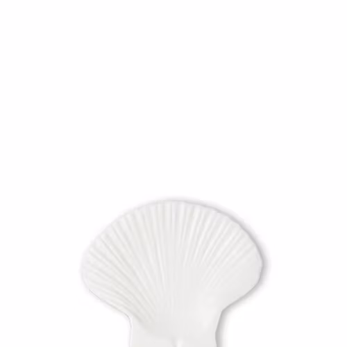 6 st. Assiett Shell S