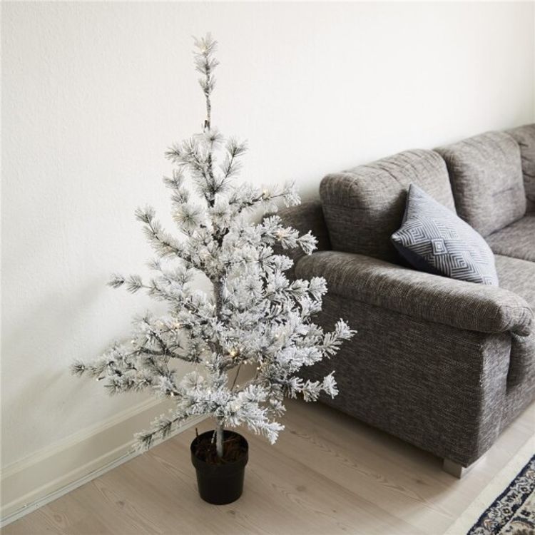 Lärk i kruka 120 cm med snö och ljus, inomhus
