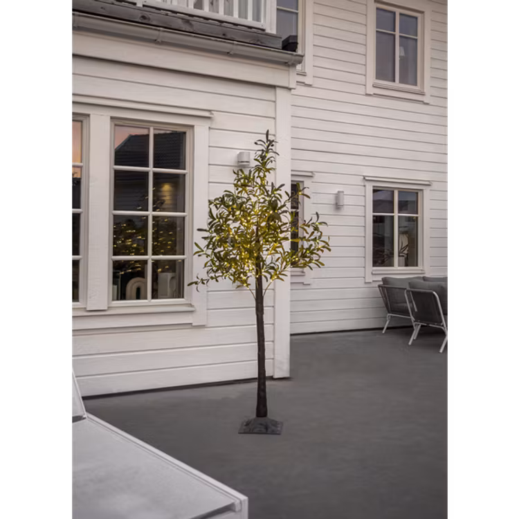 DEKORATIONSTRÄD OLIV 180 cm