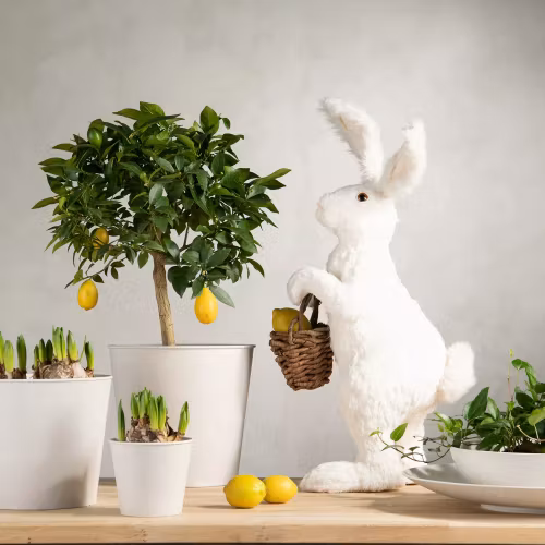 Hare Med Korg Vit 31x36x75cm. Förbeställning